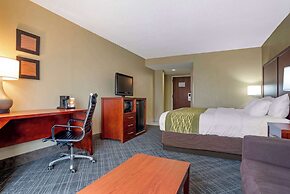 Comfort Inn University Area