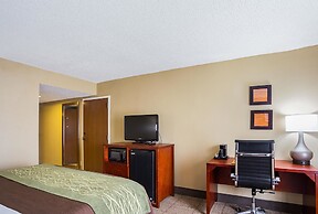Comfort Inn University Area