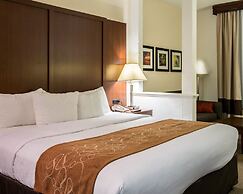 Comfort Suites Cumming-Atlanta near Northside Hospital Forsyth