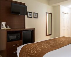 Comfort Suites Cumming-Atlanta near Northside Hospital Forsyth