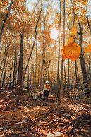 Hôtel Château-Bromont