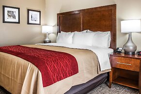 Comfort Inn and Suites