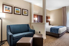 Comfort Inn & Suites Junction City - near Fort Riley