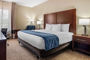 Comfort Inn & Suites Junction City - near Fort Riley