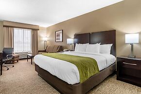 Comfort Inn Pearl-Jackson