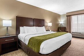 Comfort Inn Pearl-Jackson