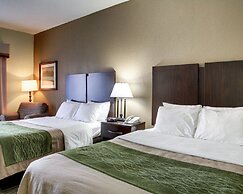 Comfort Inn Pearl-Jackson