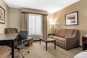 Comfort Inn Pearl-Jackson