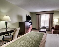 Comfort Inn Pearl-Jackson