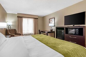 Comfort Inn Pearl-Jackson