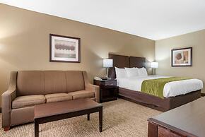 Comfort Inn Pearl-Jackson