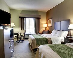 Comfort Inn Pearl-Jackson