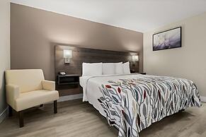 Red Roof Inn Washington, NC