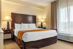 Comfort Suites Gastonia - Charlotte