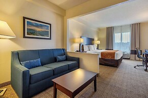 Comfort Suites Gastonia - Charlotte