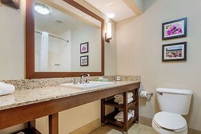 Comfort Suites Gastonia - Charlotte