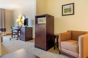Comfort Suites Gastonia - Charlotte