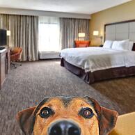 Hampton Inn by Hilton Concord/Kannapolis