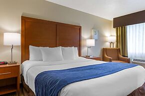 Comfort Inn South