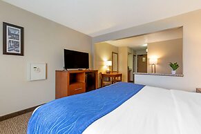Comfort Inn South