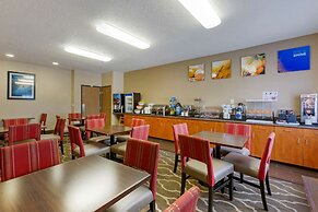 Comfort Inn South