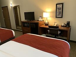 Comfort Inn South