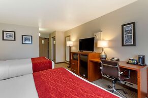 Comfort Inn South