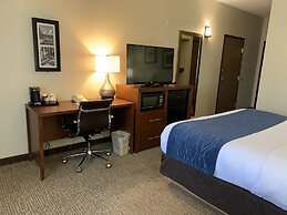 Comfort Inn South
