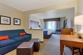 Comfort Inn South