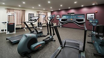 Holiday Inn Express & Suites Wyomissing by IHG