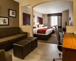 Comfort Suites Stafford Near Sugarland