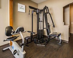 Comfort Suites Stafford Near Sugarland
