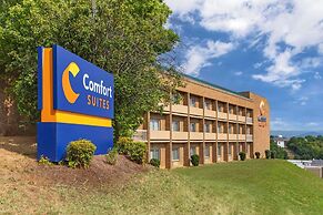 Comfort Suites Inn at Ridgewood Farm