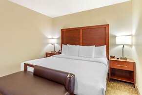 Comfort Inn Quantico