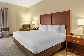 Comfort Inn Quantico