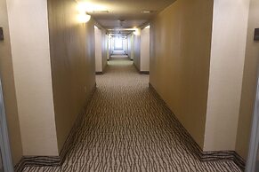 Comfort Suites - New Braunfels