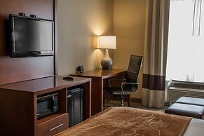 Comfort Suites - New Braunfels