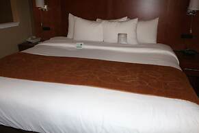Comfort Suites - New Braunfels