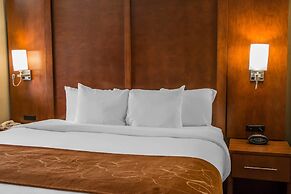 Comfort Suites - New Braunfels