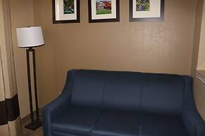 Comfort Suites - New Braunfels