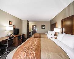 Comfort Inn & Suites St. Louis - Hazelwood