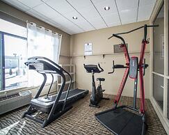 Comfort Inn & Suites St. Louis - Hazelwood