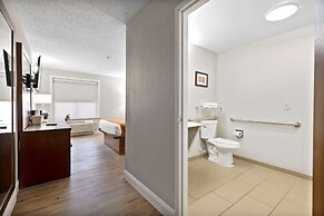 Comfort Inn & Suites St. Louis - Hazelwood