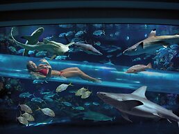 Golden Nugget Las Vegas Hotel & Casino