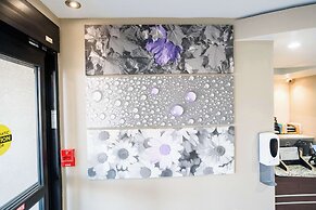 Sleep Inn & Suites Knoxville West