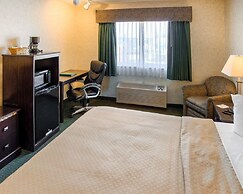 Quality Inn near Northtown Mall & National Sports Center