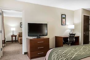 Comfort Inn - Pocono Mountains