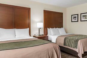 Comfort Inn - Pocono Mountains
