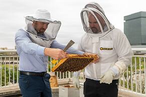 Sheraton Dallas Hotel