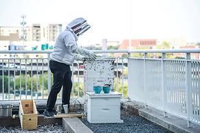 Sheraton Dallas Hotel